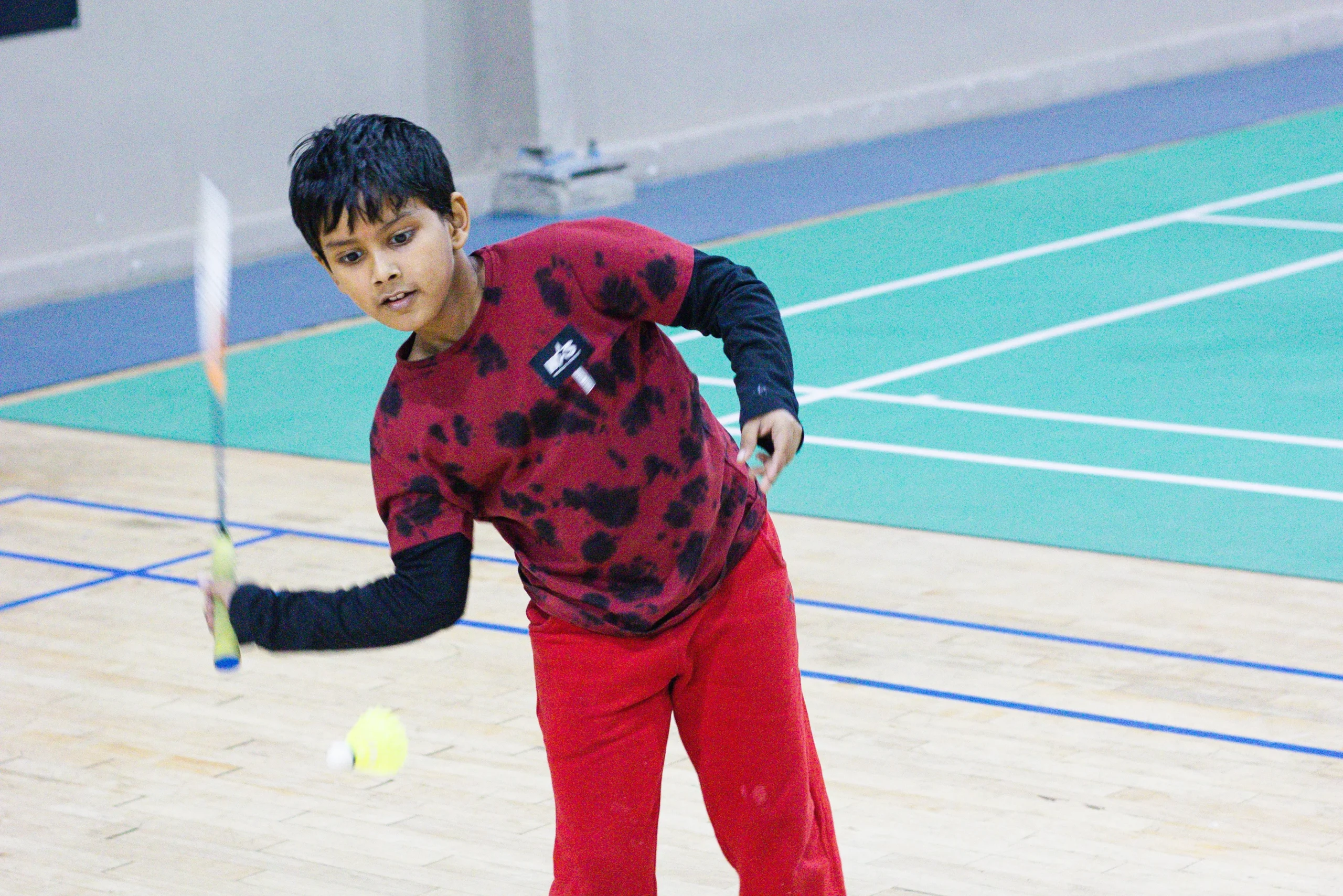 Pro badminton academy